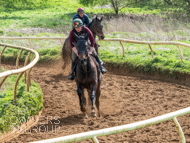 EL160424-33 - Zoran